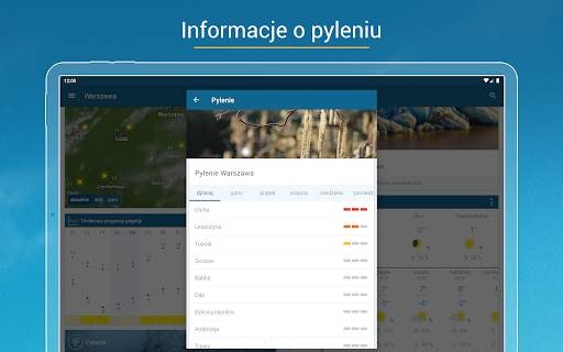 Pogoda & Radar: pogoda i smog screenshot 20