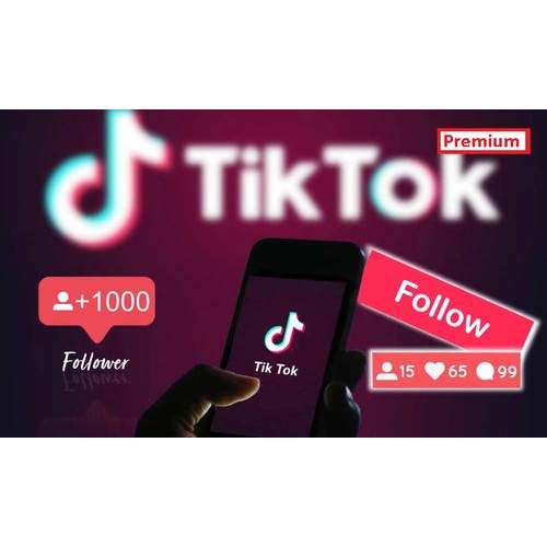 Tiktok Surge - Free Tiktok Followers 2021 screenshot 2