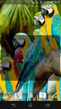 Macaw Bird Live Wallpaper screenshot 4