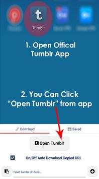 Downloader for Tumblr screenshot 1