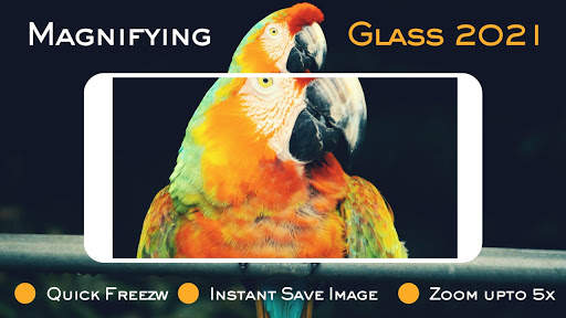 Magnifier-Magnifying Glass 2021 screenshot 4