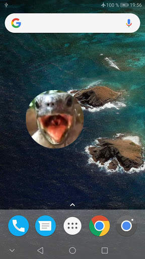 Aaah! Funny Turtle Sounds and Piano screenshot 4