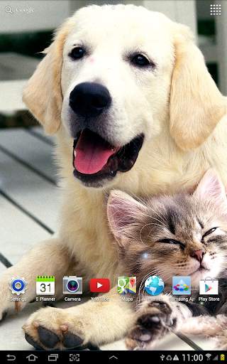Dogs Wallpaper screenshot 12