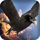 Birds Simulator Medieval Fight icon