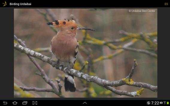 Birding Urdaibai screenshot 7