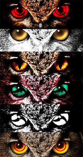 Sharingan - Eye And Hair Color 7 تصوير الشاشة