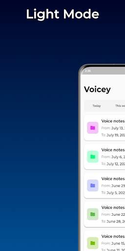 Voicey: WhatsApp voice messages without blue tick screenshot 4