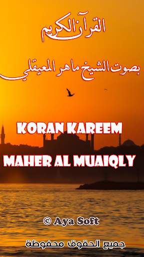 Koran Kareem offline | Maher al Muaiqly screenshot 7