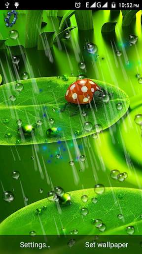 Drops Rain Live Wallpaper screenshot 1