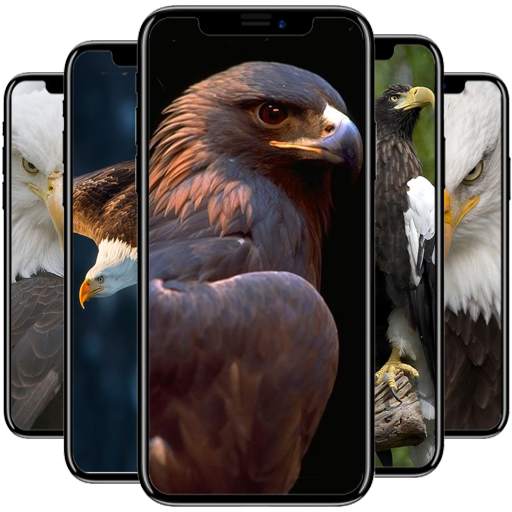 Eagle  Wallpaper 1.0
