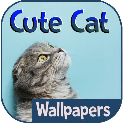 Cute Cat Wallpapers 1.0