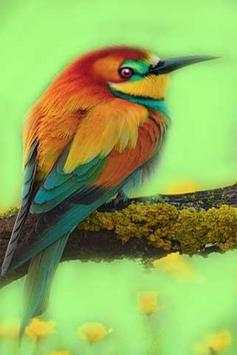 How To Draw Bird screenshot 2