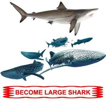 World of Hungry Shark screenshot 3