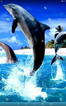 Dolphin Live Wallpaper screenshot 8