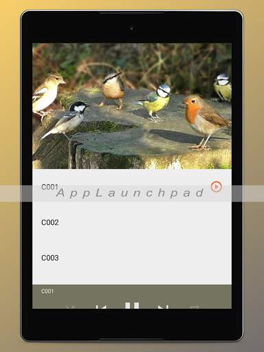 Bird Songs Ringtones screenshot 20