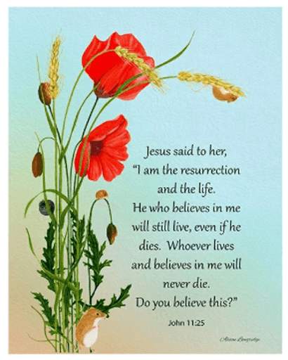 Comforting Bible Verses About Death screenshot 3