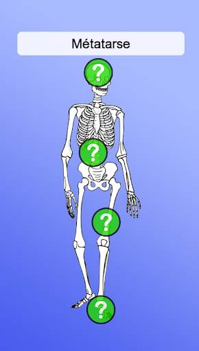 Anatomie screenshot 3