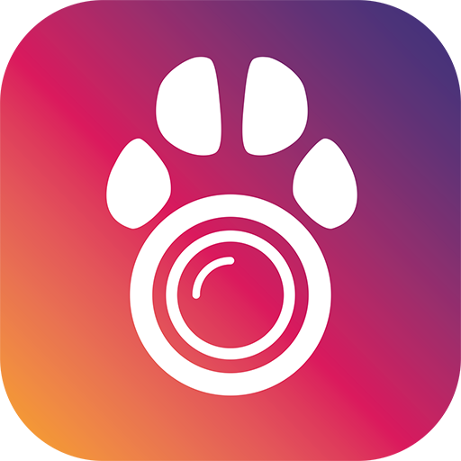 PetCam App - Dog Camera App icon