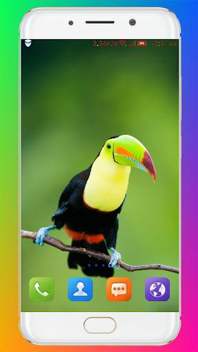 Bird Wallpaper HD screenshot 15