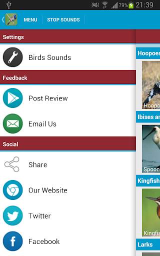UK Birds Sounds Free स्क्रीनशॉट 8