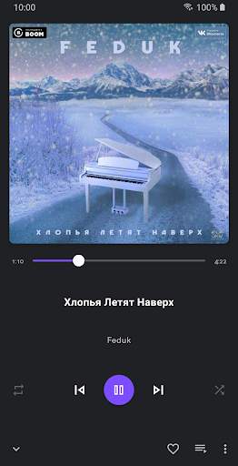 Rexy Music Player screenshot 1