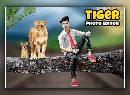 Tiger Photo Editor screenshot 4