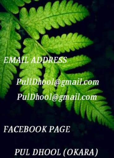 Pull Dhool  Pul Dhool screenshot 4