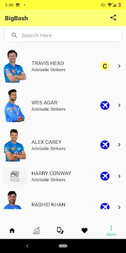 Big Bash Live 2020 screenshot 3