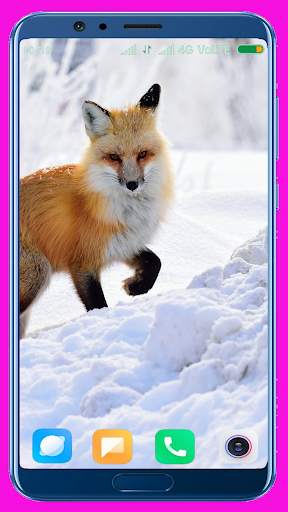 Fox Wallpaper Best 4K screenshot 7