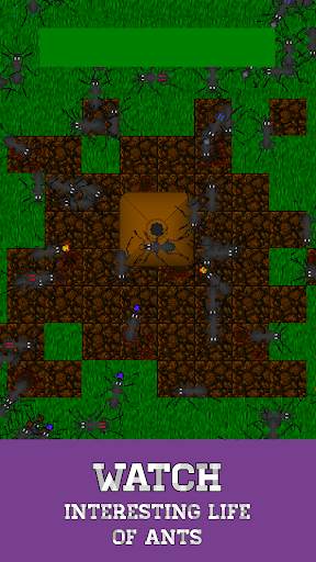 Ant Evolution - ant colony and terrarium simulator screenshot 1