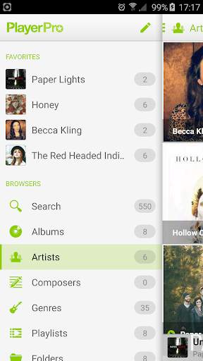PlayerPro Cloudy Green Skin screenshot 4