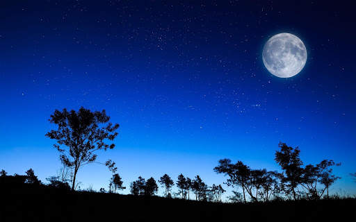 Night Wallpaper screenshot 4