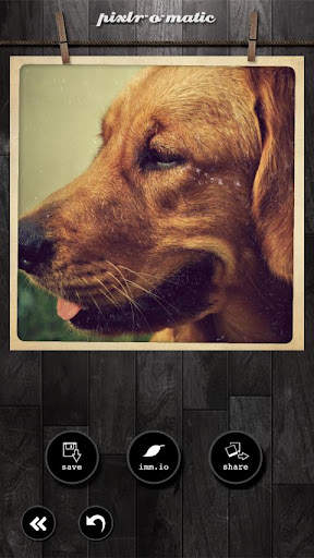 Pixlr-o-matic screenshot 8