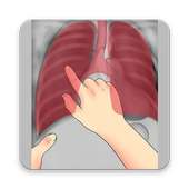 Interpretation Chest X Ray