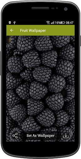 Fruit Wallpaper screenshot 4