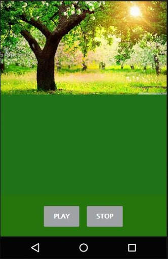 Hang Drum Music screenshot 2