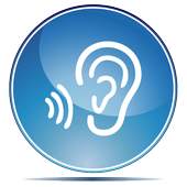 AUDIBLE 1.0