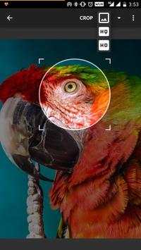 Wear Wallpaper Watch Face скриншот 7