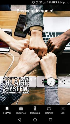 Black System screenshot 2