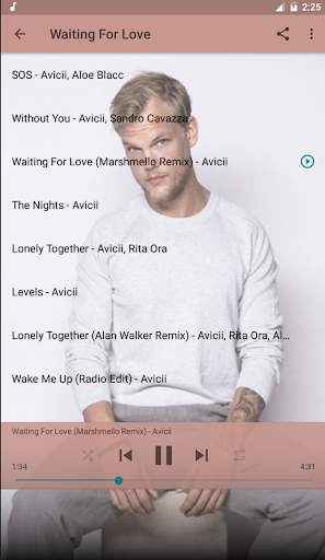 Avicii Top Music Free screenshot 1