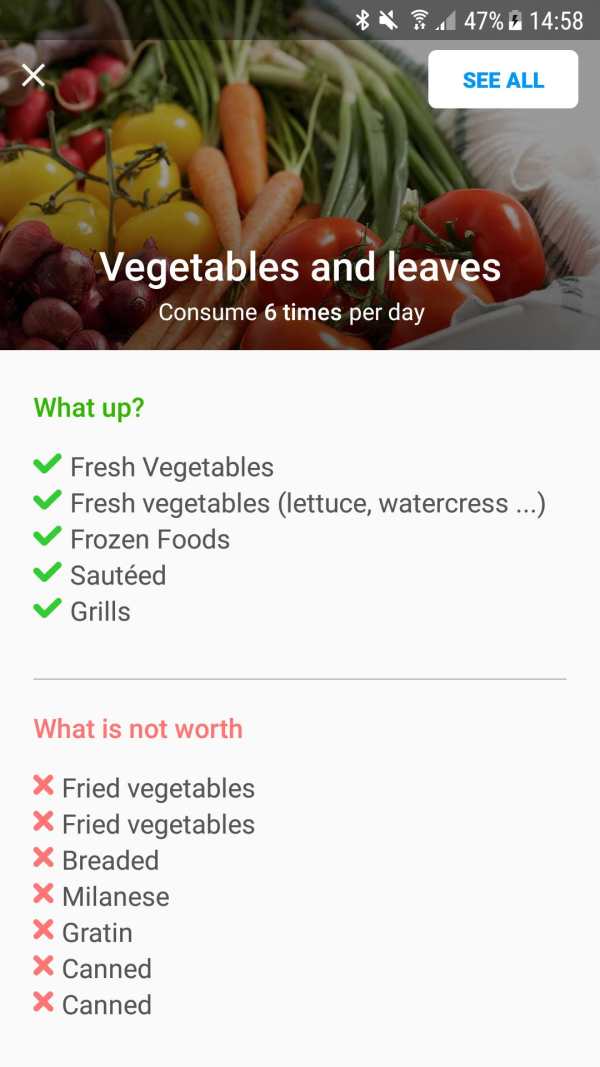 Diet and Health screenshot 2