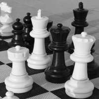 3D Chess Game Offline logo