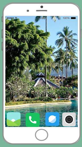 Palm Tree Full HD Wallpaper screenshot 5