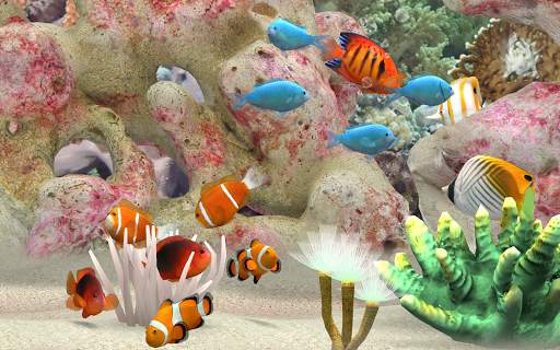 MyReef 3D Aquarium screenshot 5