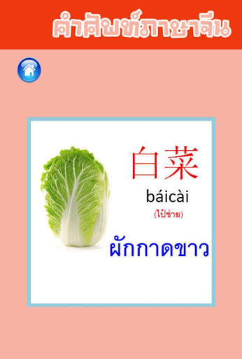คำศัพท์ภาษาจีน скриншот 4