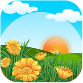 Gallery Pro icon