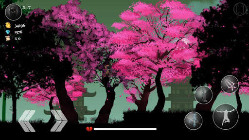 Ninja Assassin A Warrior's Tal screenshot 3