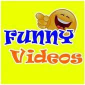 Funny Videos 1.0