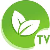 Vnd TV logo