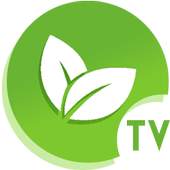 Vnd TV 2.4.0